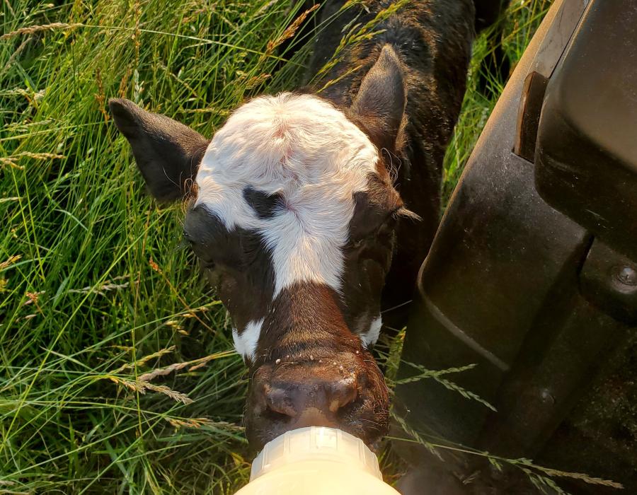 Feeding_Baby_.jpg