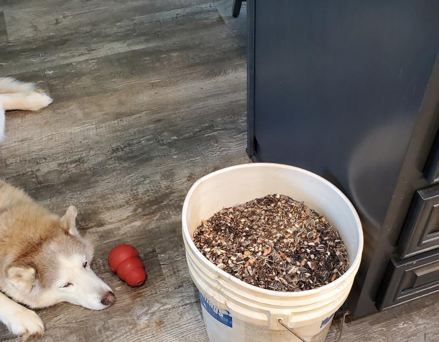 Seed_Bucket.jpg